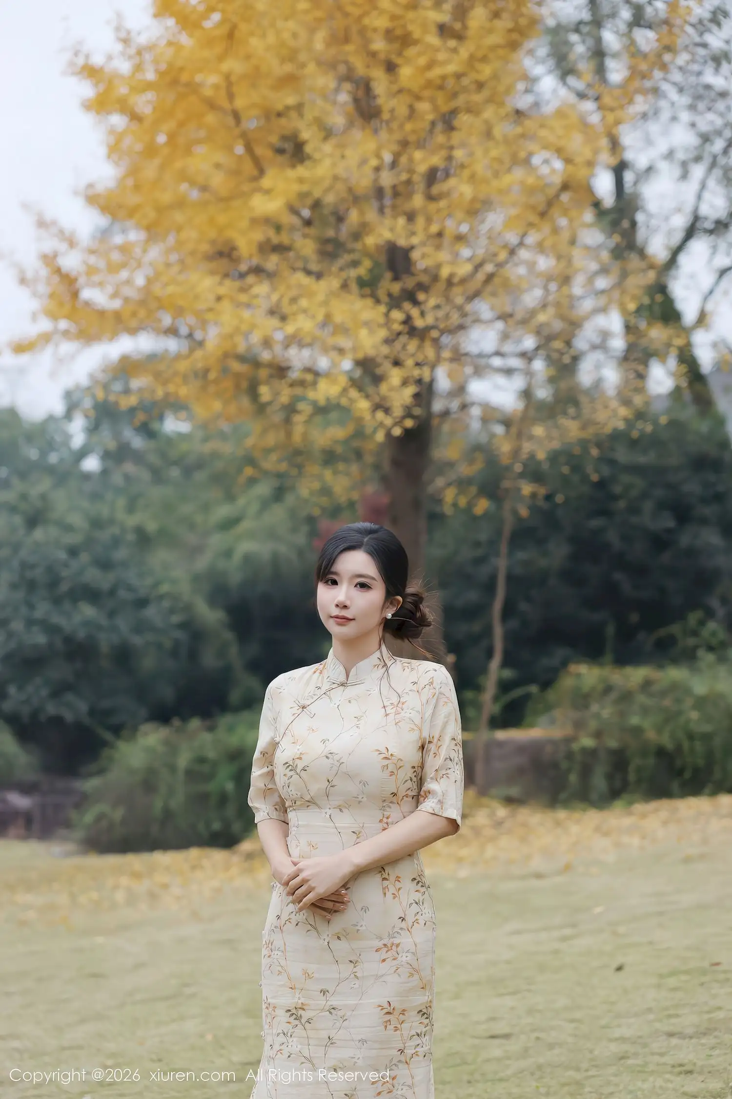 小肉肉咪秋日银杏旗袍写真 浅黄碎花裙摆演绎温婉国风