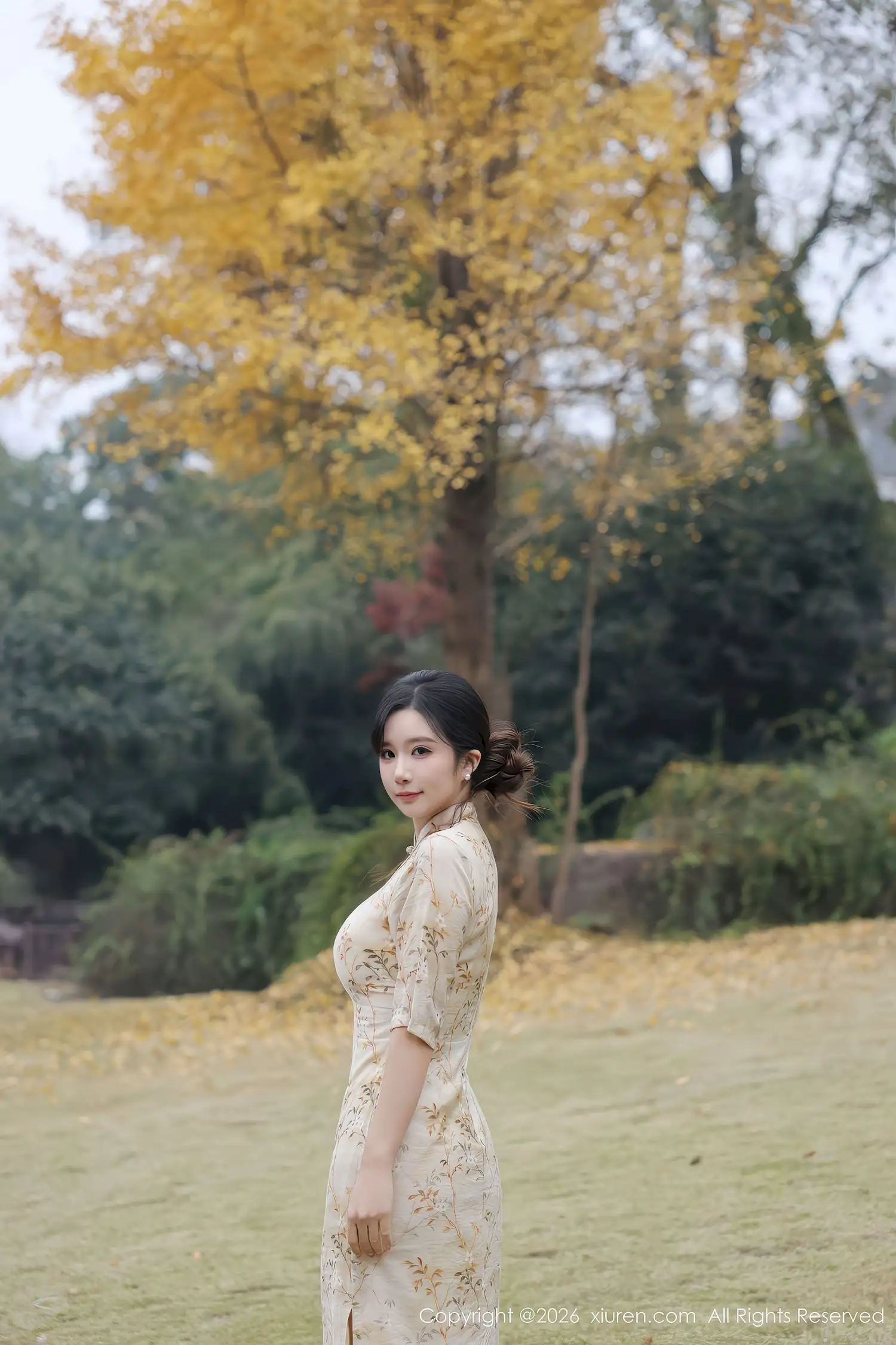 小肉肉咪秋日银杏旗袍写真 浅黄碎花裙摆演绎温婉国风